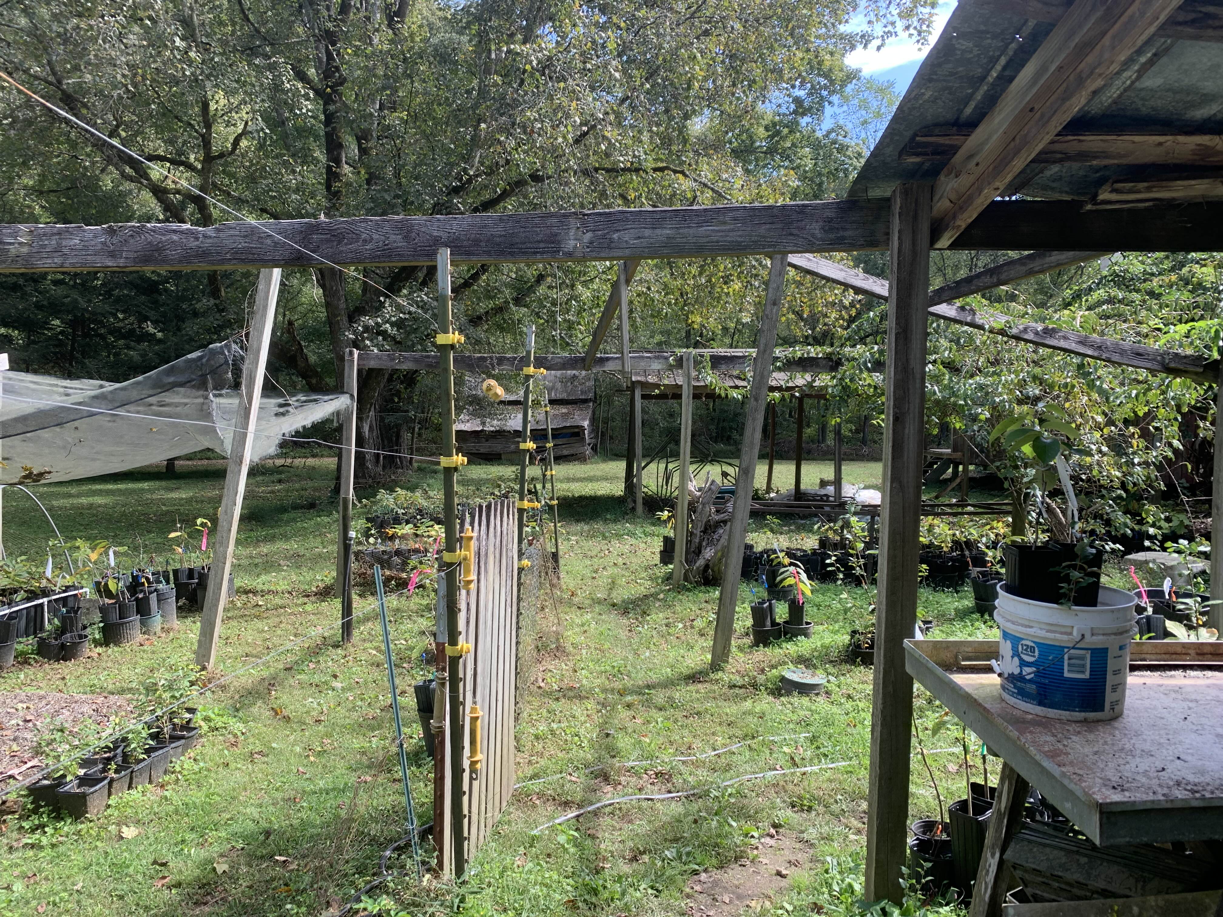 A gate at Hidden Springs Nursery.