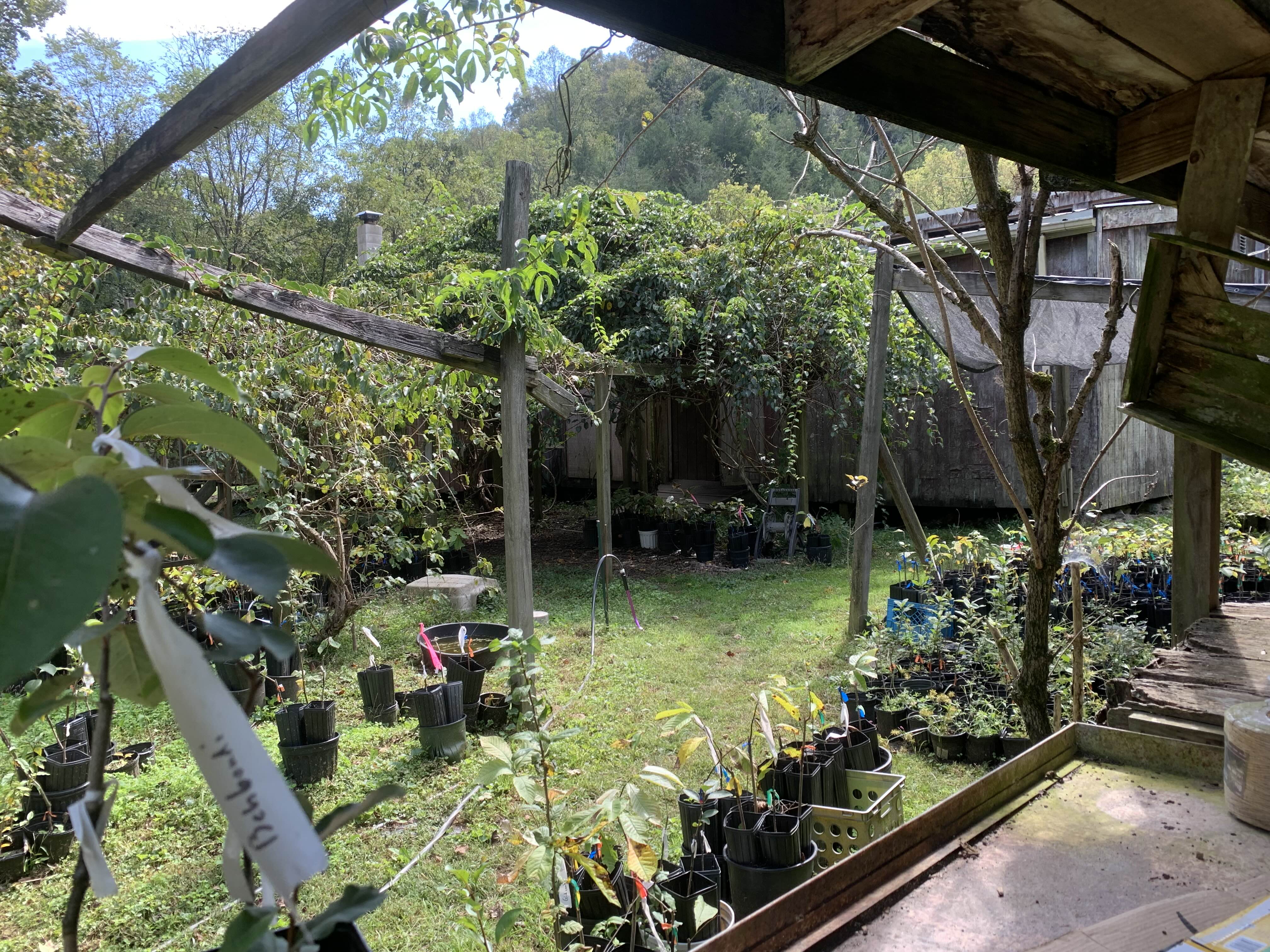 A nursery filled with trees.