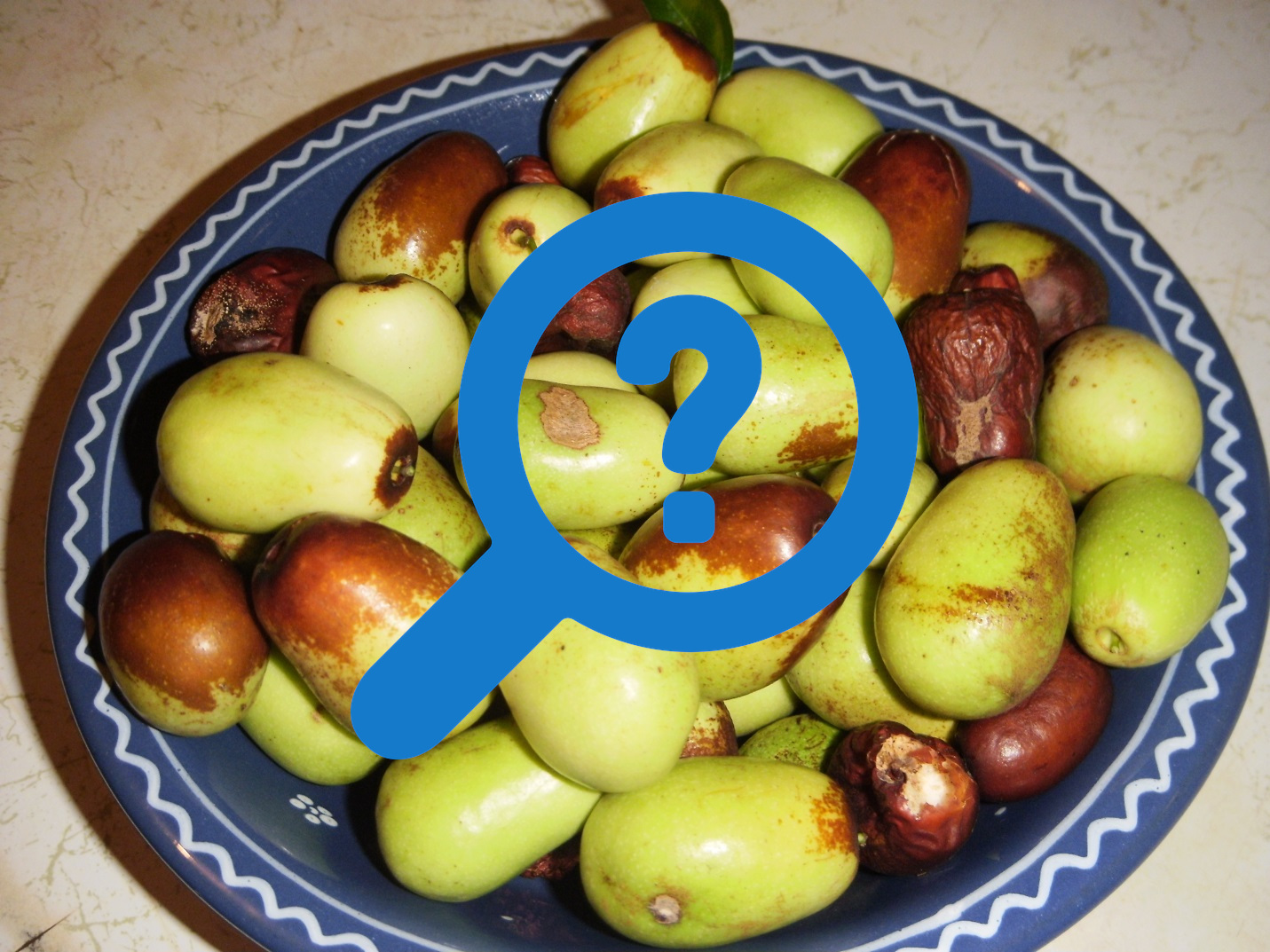 A bowl of jujube fruits.